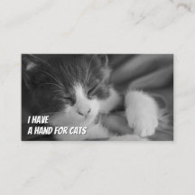 Cat Sitters lustige Haustierbetreuung für Katzen