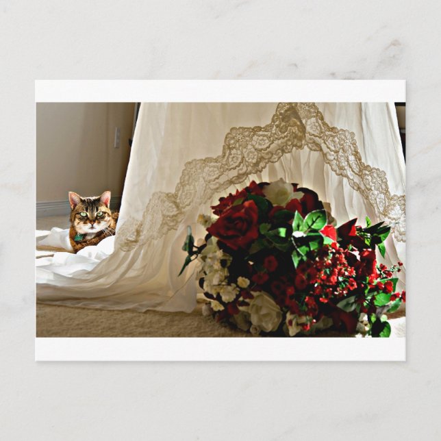 Cat Sitting Behind Wedding Dress Postkarten (Vorderseite)