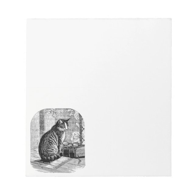 Cat Sitting by Window with Book Notizblock (Vorderseite)