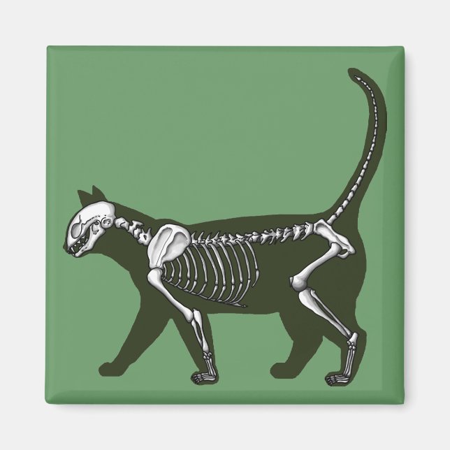 Cat Skeleton Magnet (Vorne)