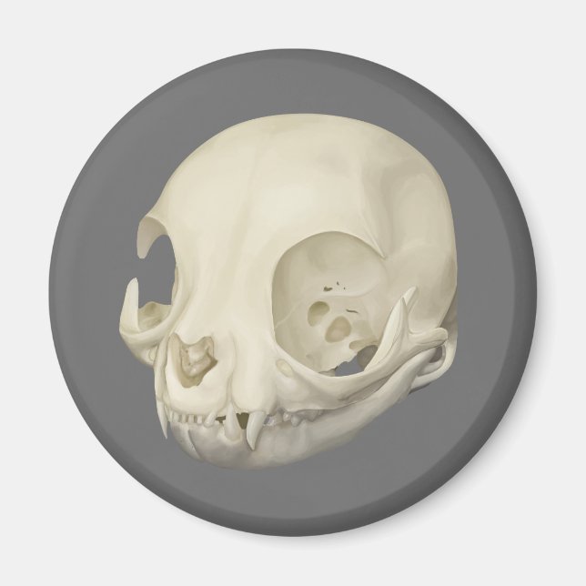 Cat Skull Magnet (Vorne)