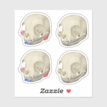 Cat Skull Sticker Set
