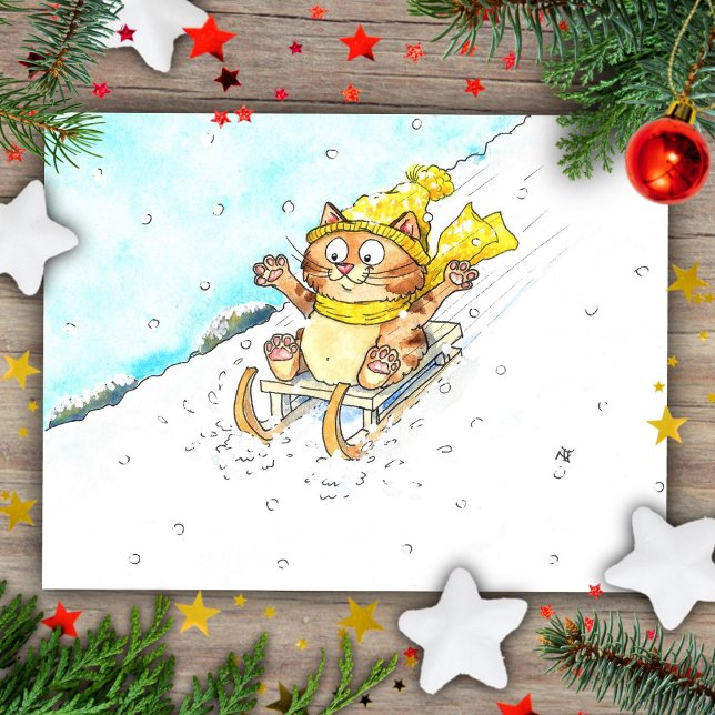 Cat Sledging Postkarte (Von Creator hochgeladen)
