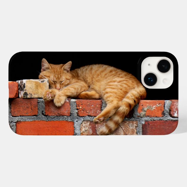 Cat Sleeping on Bridge Case-Mate iPhone 14 Plus Hülle (Rückseite (Horizontal))