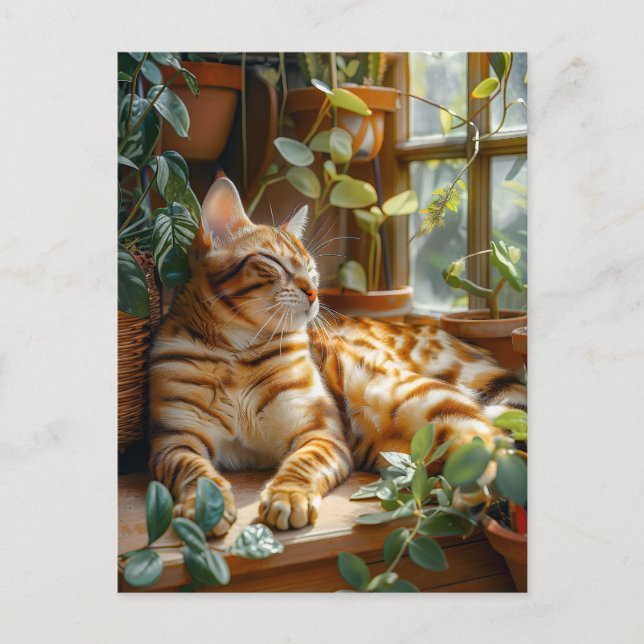 Cat Sleeping on Window Sill Among Flower Vines Postkarte (Vorderseite)