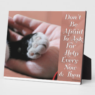 Cat-Slogan gefragt, um Hilfe zu fördern Fotoplatte