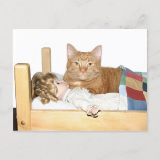 Cat slumber Party Postkarte