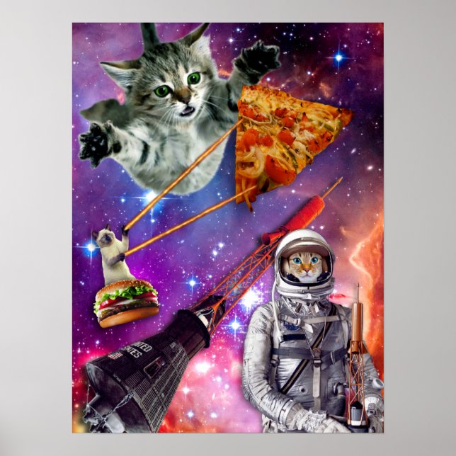 Cat Space Federation Poster (Vorne)