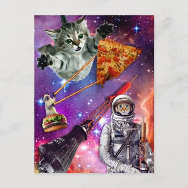 Cat Space Federation Postkarte (Vorderseite)