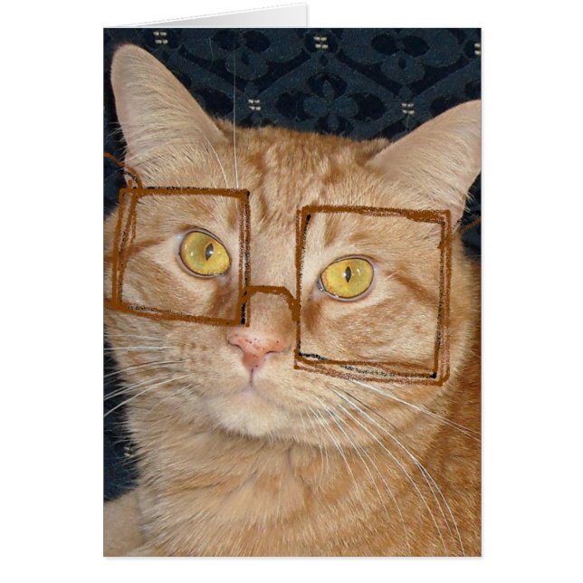 Cat Spaß (Vorne)