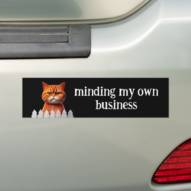 Cat Spaß - Making my own business Autoaufkleber (Auf Auto)