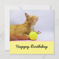 Cat spielt Tennisball Geburtstagskarte