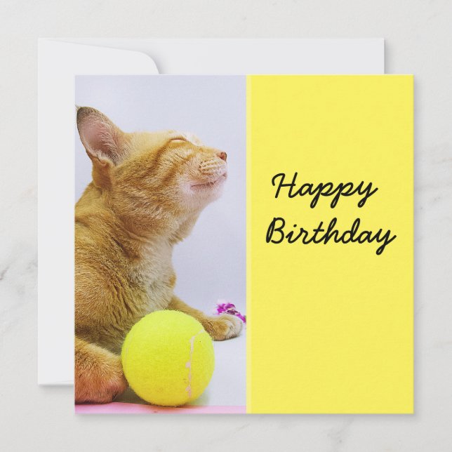 Cat spielt Tennisball Geburtstagskarte (Vorderseite)