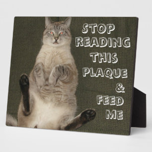 Cat "STOP LESE This PLAQUE & FÜTTRE ME" Plaque Fotoplatte