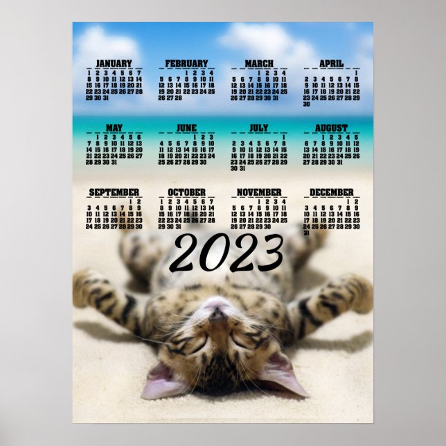 Cat Sunbathing at the Beach 2023 Calendar Poster (Vorne)