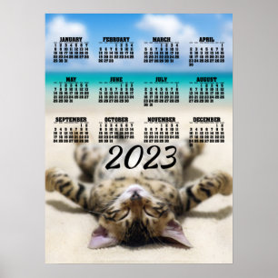 Cat Sunbathing at the Beach 2023 Calendrier Poster