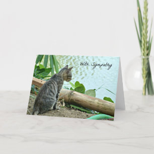 Cat Sympathy Card Karte