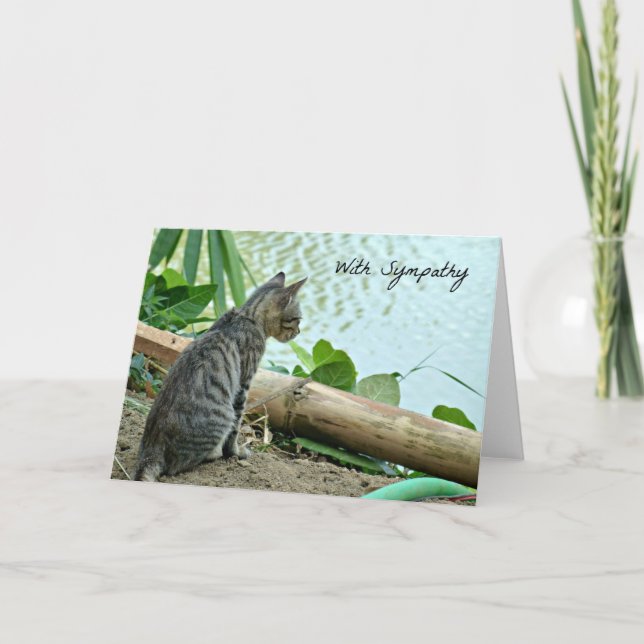 Cat Sympathy Card Karte (Vorderseite)