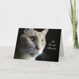 Cat Sympathy Card Karte