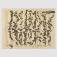 Cat Symphony von Moritz von Schwind