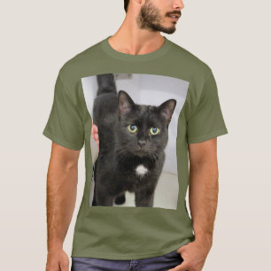 Cat T - Shirt