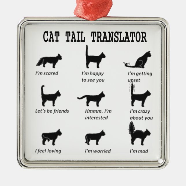 CAT TAIL TRANSLATOR SQUARE ORNAMENT (Vorne)