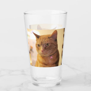 Cat-Tasse Glas