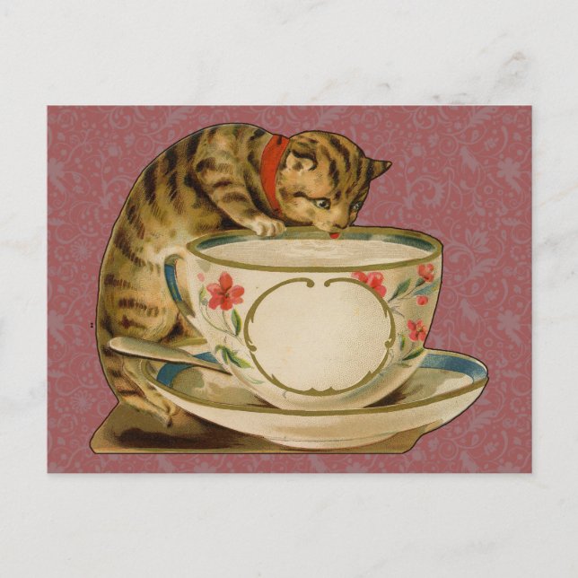Cat Teacup Niedlich Vintag Viktorianisch Postkarte (Vorderseite)
