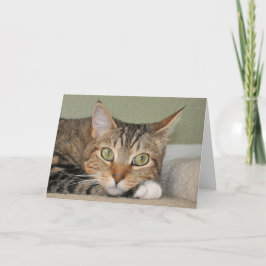 Cat thinking of you card karte