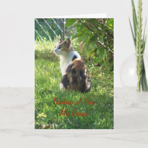 Cat/Thinking von dir, mein Freund Karte