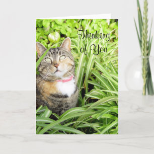 Cat Thinking Your Card Karte