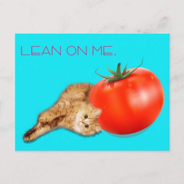 Cat & Tomato Postcard /　猫＆トマト　ポストカード Postkarte (Vorderseite)