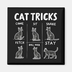 Cat Tricks Purr Fectly Unglaublich witzig Feline F Magnet
