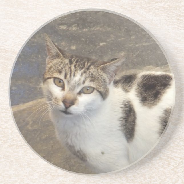 Cat Untersetzer (Vorne)
