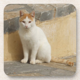 Cat-Untersetzer Getränkeuntersetzer