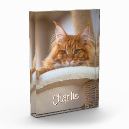 Cat Vertikales Portrait Foto Niedlicher Schriftart