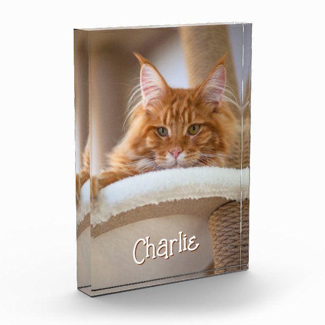 Cat Vertikales Portrait Foto Niedlicher Schriftart (Links)