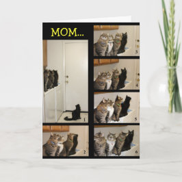 Cat vs Fly Mother's Day Card Karte