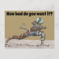 Cat Warrior Beach Volleyball Fantasy Art Postcard