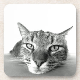 Cat Watching Untersetzer