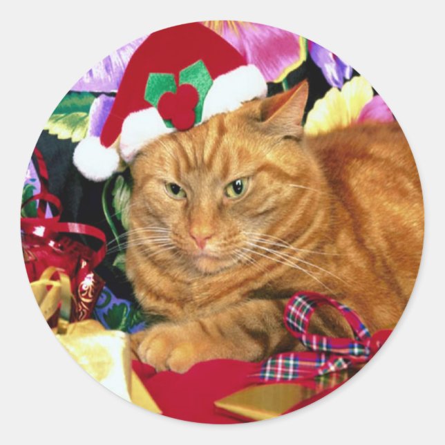 Cat Wear Santa Claus Hat - Aufkleber (Vorderseite)