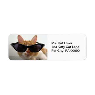 Cat Wearing Sonnenbrillen Rücksendeadressen-Aufkle