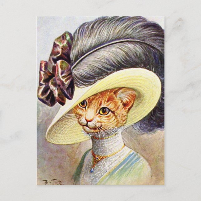 Cat Weather Feather hat Postkarte (Vorderseite)