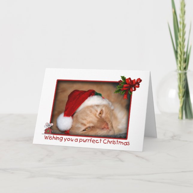 Cat Weihnachtsmannmütze Weihnachtsgrußkarte Feiertagskarte (Vorderseite)