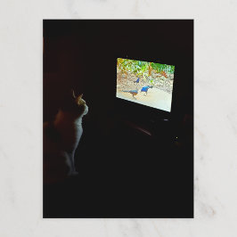Cat Who Loves His Screentime Postcard Postkarte