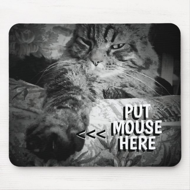 Cat will Ihre Maus Meme Mouse Pad Mousepad (Vorne)