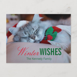 Cat with christmas hat and scarf, sleeping cat feiertagspostkarte