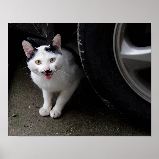 Cat with Mustache Poster (Vorne)