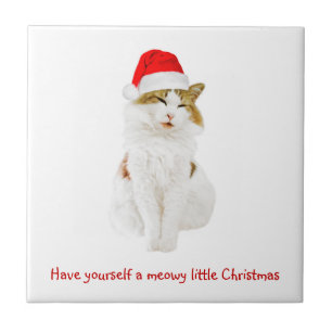 Cat with Santa’s Hat Fliese