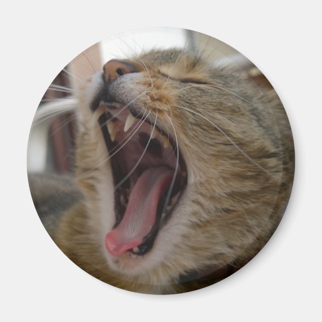 Cat yawn magnet (Vorne)